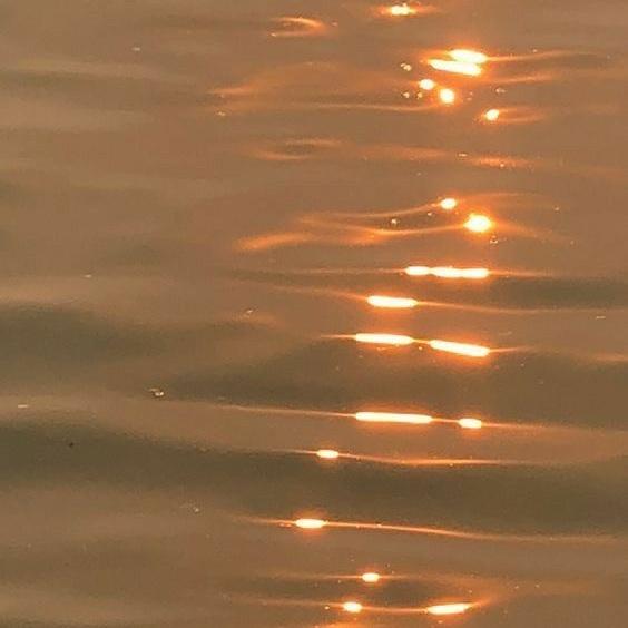 Postpartum Package #1 — The Nest